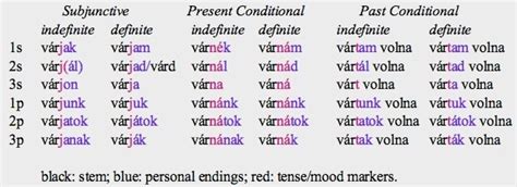 Baszik conjugation in Hungarian in all forms 